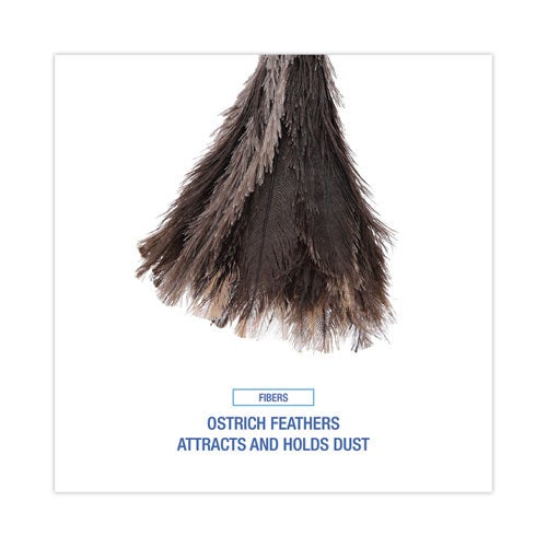 Professional Ostrich Feather Duster, 13" Handle - 12/box