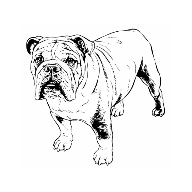 Brutus with Facility Werx Logo