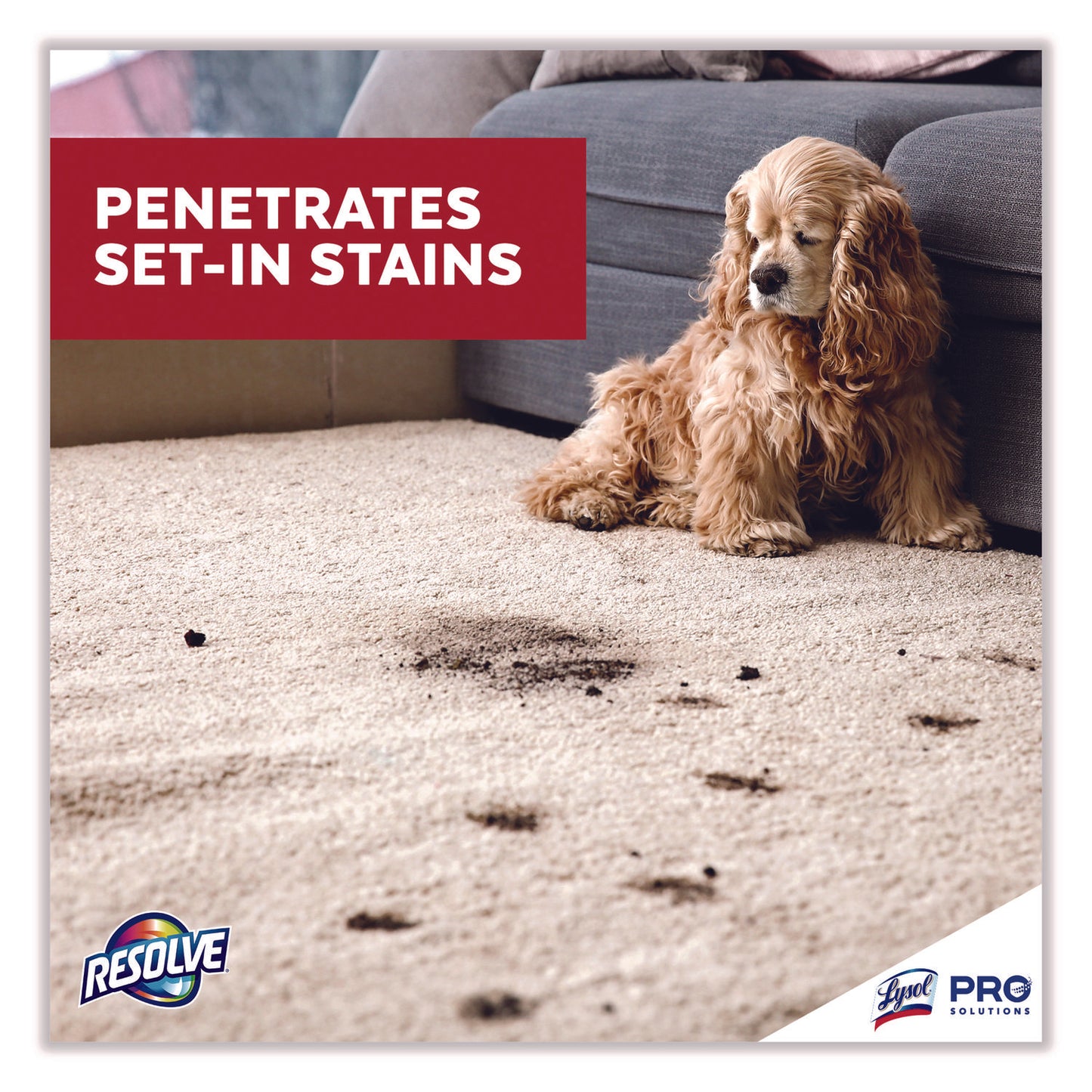 Professional Resolve® Spot & Stain Carpet Cleaner, 32 oz. Trigger Spray Bottle - 12/cs