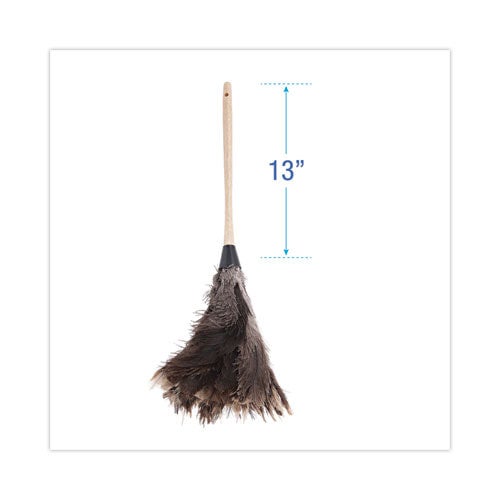 Professional Ostrich Feather Duster, 13" Handle - 12/box