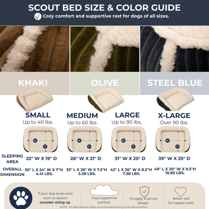 Scout Perfect Bolster Dog Bed