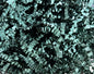 40 LB Dark Green Crinkle Paper