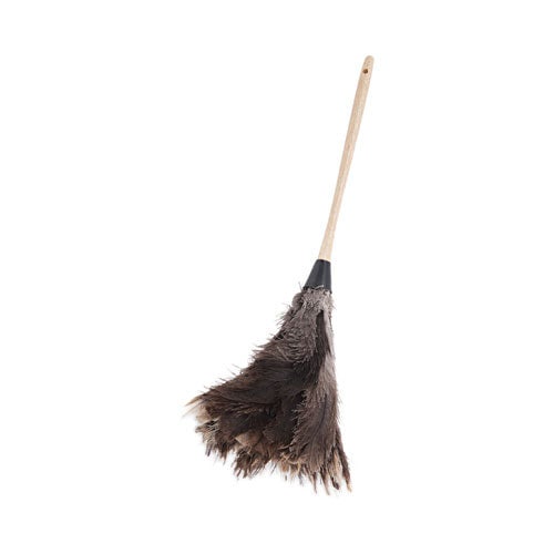 Professional Ostrich Feather Duster, 13" Handle - 12/box