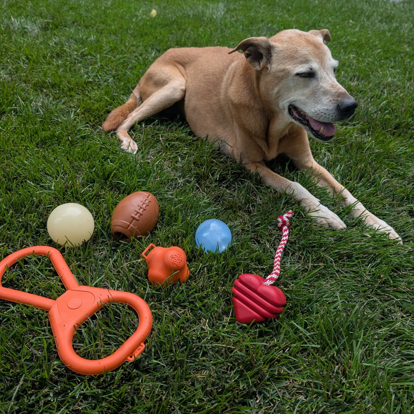 Tug Toys