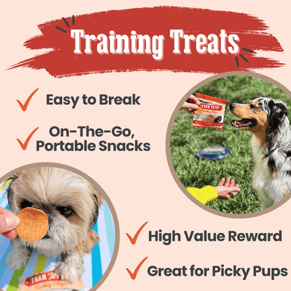 Turkey Chips Snack Pack Bundles | Low Allergen Treats for Training