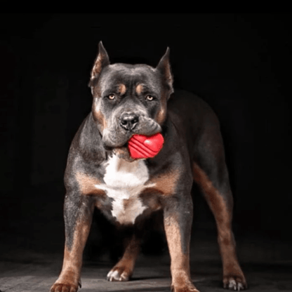 Tug Toys