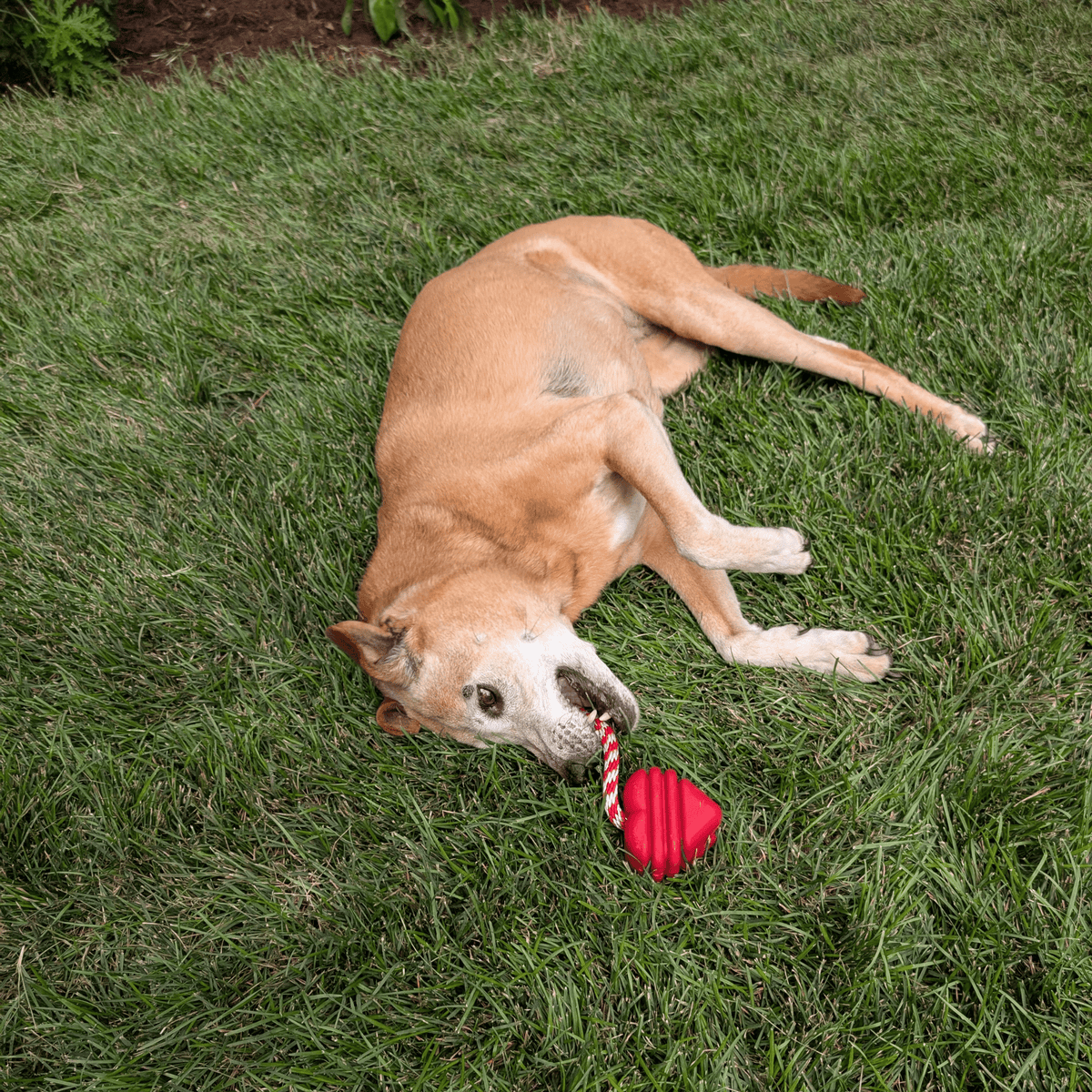 Tug Toys