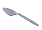 Medium-Weight Disposable Teaspoon, Plastic, White - 1000/cs