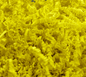 40 LB Yellow Crinkle Paper
