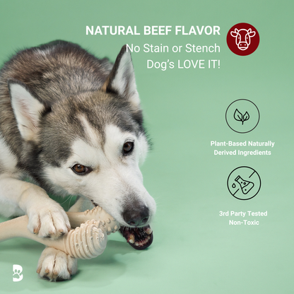 BetterBone MEDIUM Durability CHEW TOY: Perfect Chew for Everyday Chewers | Natural Ingredients, Eco-Friendly, Non-Toxic