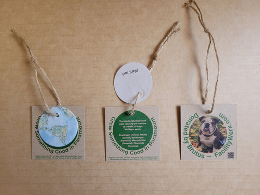 Custom "Grow Something Good In" (your neighborhood) Tags with Seeded Paper & Twine Loop